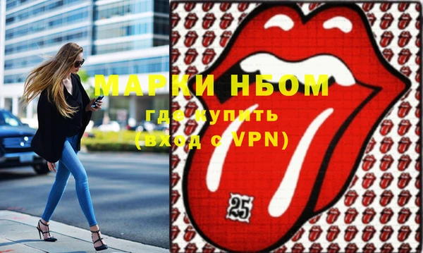 индика Зеленодольск