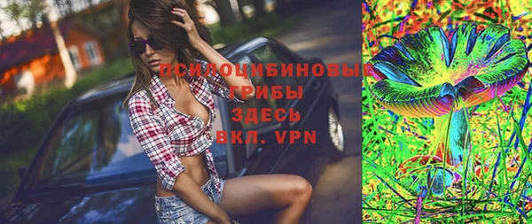 индика Зеленодольск