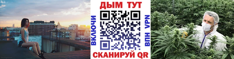 Купить где  Северодвинск  Каннабис планчик 